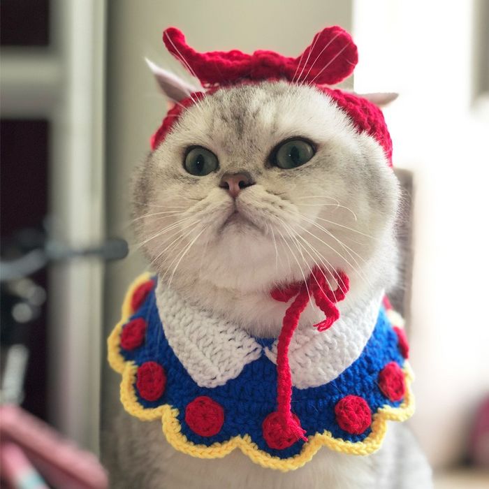 Pha cosplay hot nhất MXH: Sen có tâm đầu tư cho boss làm Bạch Tuyết