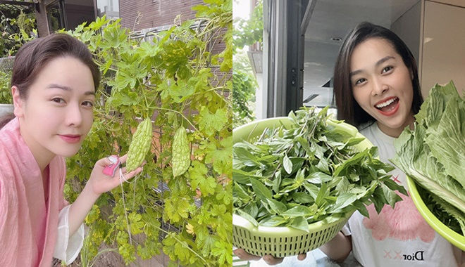 Sao Việt trồng rau trong biệt thự: Bảo Thy làm dâu hào môn cực khéo