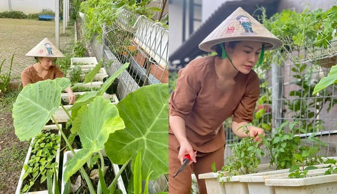 Sao Việt trồng rau trong biệt thự: Bảo Thy làm dâu hào môn cực khéo