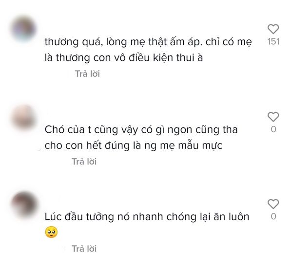 Chú chó nhịn miệng cho đàn con no bụng khi Sen chia thiếu đồ ăn