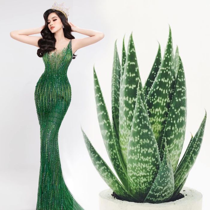 Trước thềm Miss World, Đỗ Thị Hà ghi điểm với loạt váy đầy ý nghĩa