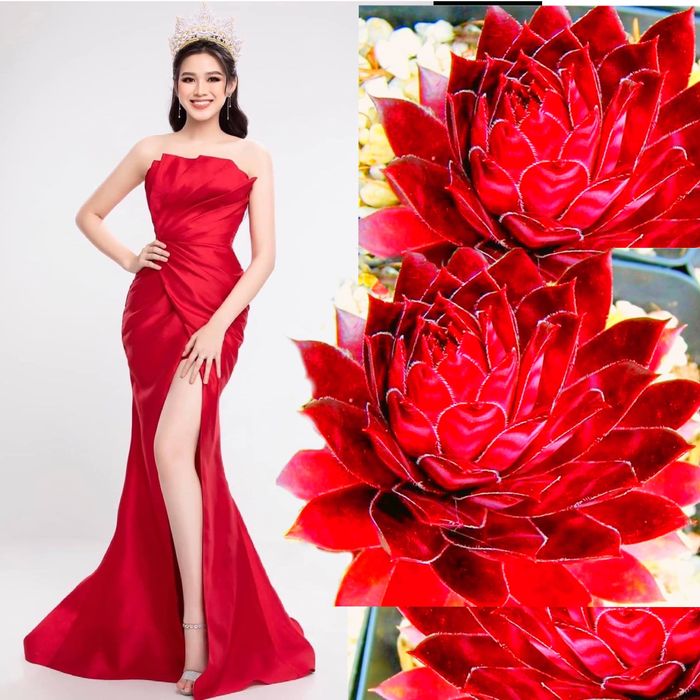 Trước thềm Miss World, Đỗ Thị Hà ghi điểm với loạt váy đầy ý nghĩa