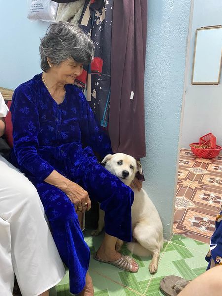 Chú chó được cụ bà cưng như con: Ăn uống chu đáo từng bữa