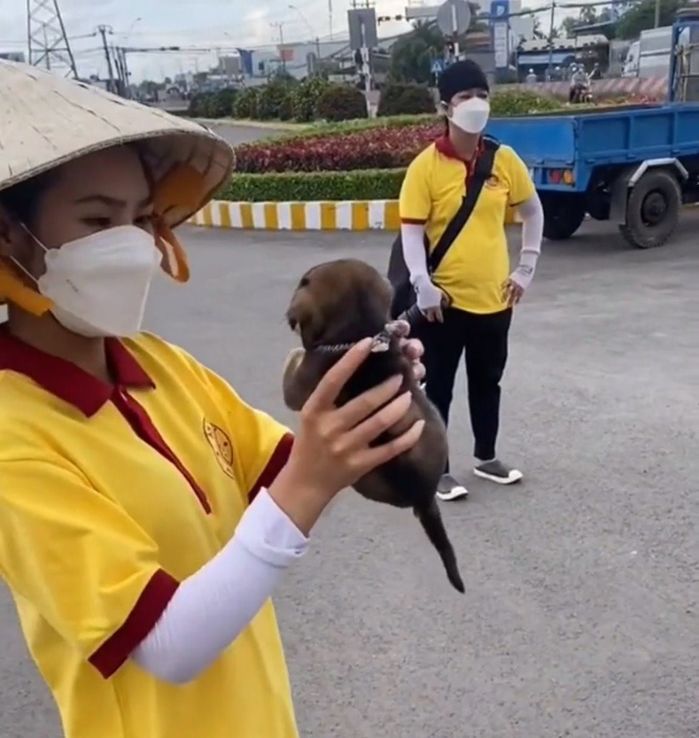 Bé cún duy nhất còn sót lại trong vụ 15 chú chó: Được chăm kỹ lưỡng