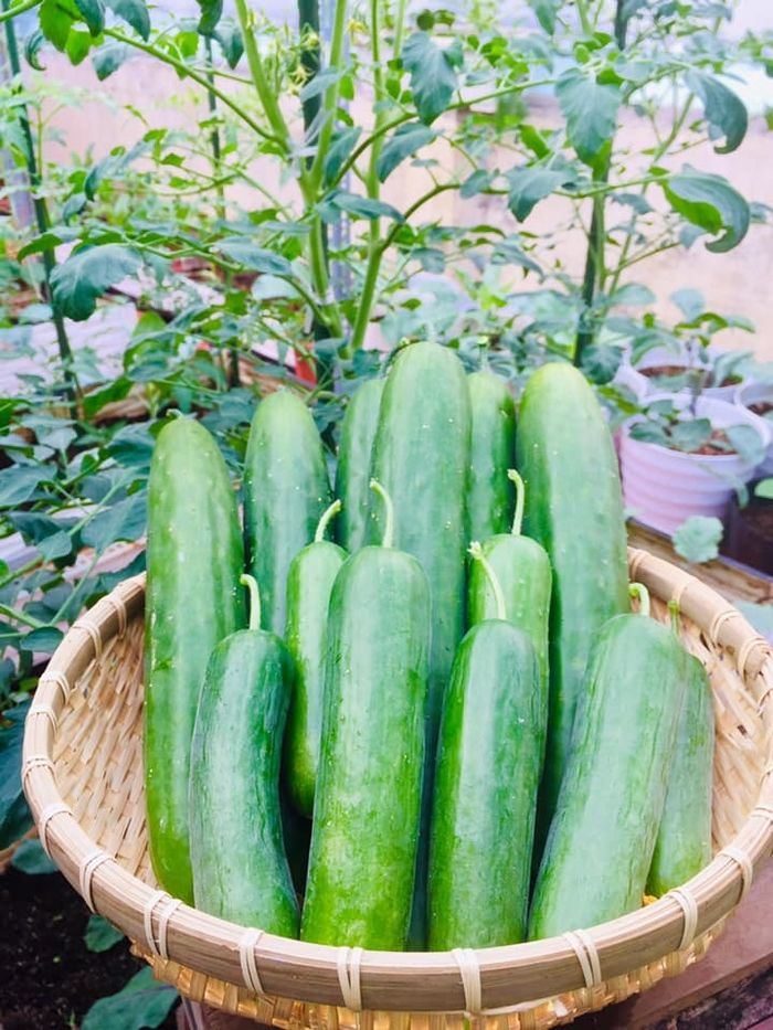 Mẹ đảm biến sân thượng thành siêu thị mini chỉ với 5 triệu đồng