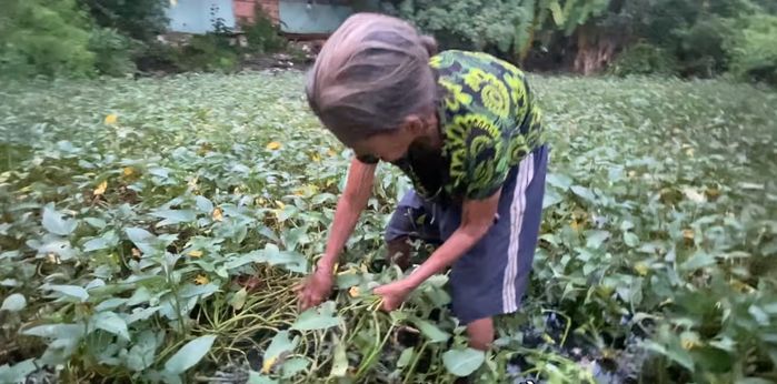 Cụ bà gần 90 tuổi lội sình hái rau, đẩy xe rùa đi bán nuôi chồng bệnh