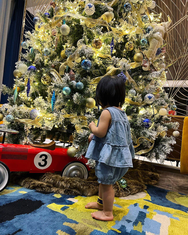 Đọ cây thông Noel nào đẹp nhất của giới siêu giàu
