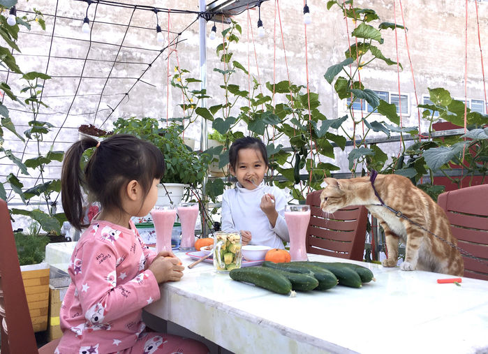 Dỡ mái tôn hô biến sân thượng thành vườn rau quả sum suê