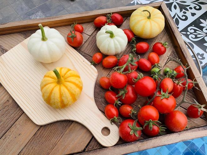 Mẹ đảm biến sân thượng thành vườn rau, có cả bể bơi, quầy bar