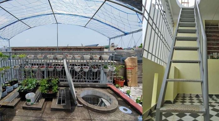 Nữ Giám đốc khoe thành quả sau 1 năm làm vườn, khiến ai cũng trầm trồ