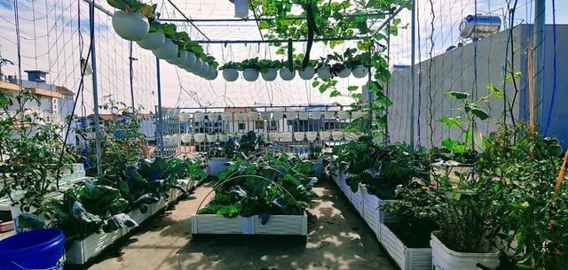 Nữ Giám đốc khoe thành quả sau 1 năm làm vườn, khiến ai cũng trầm trồ