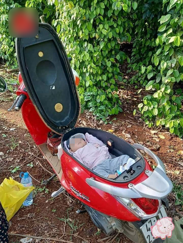 Mẹ mải làm rẫy để con ngủ trong cốp xe, dân mạng tranh cãi nảy lửa