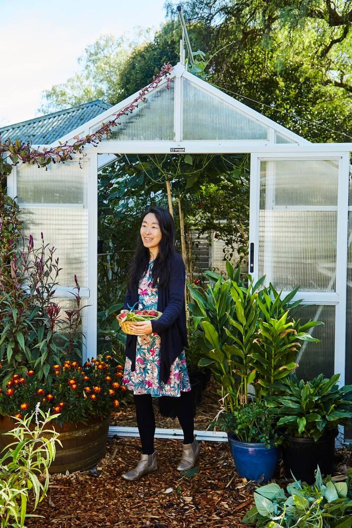 Nữ luật sư tự trồng 70 loại cây vì sợ rau củ mua ngoài bị phun thuốc