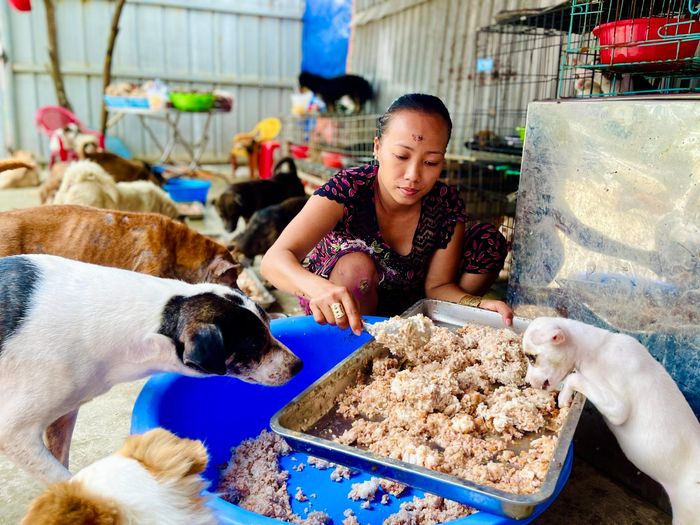 Nữ tài xế vay nợ nuôi hàng trăm chó mèo, ai chê cười cũng kệ