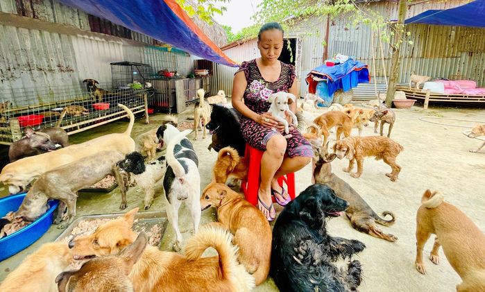 Nữ tài xế vay nợ nuôi hàng trăm chó mèo, ai chê cười cũng kệ