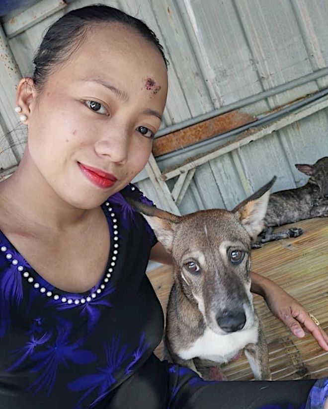 Nữ tài xế vay nợ nuôi hàng trăm chó mèo, ai chê cười cũng kệ