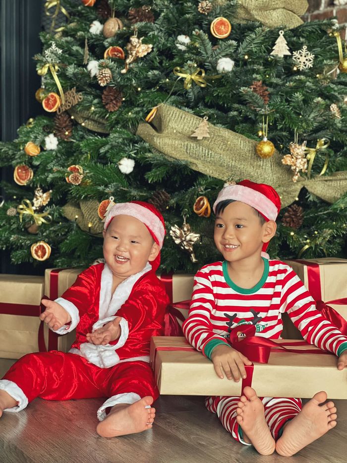 Sao Việt ngậm ngùi phận đẻ thuê: Lê Phương 2 bé y đúc 2 bố