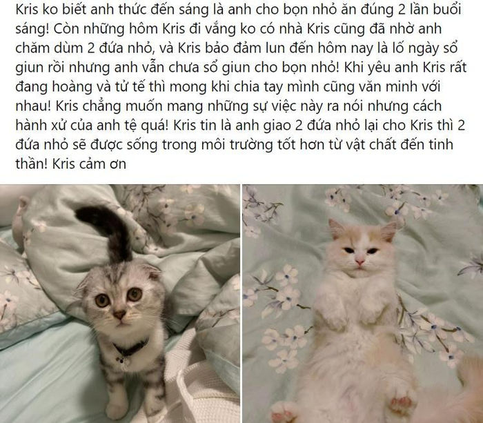 3 cặp sao Việt sau chia tay khiến khán giả thở không kịp vì drama