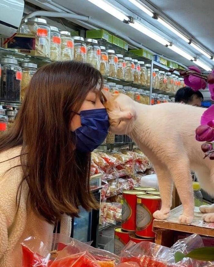 Đi mua hàng Tết gặp ngay quàng thượng ra sức chiều khách
