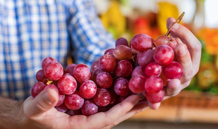 Cách bảo quản hoa quả tươi lâu vào dịp Tết mà không cần tủ lạnh