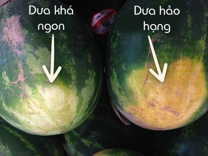 Cách chọn dưa hấu thơm ngon, ruột đỏ để lên bàn thờ ngày Tết