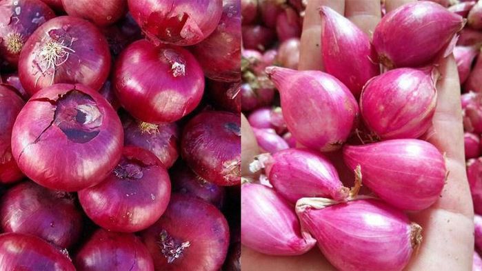 Cách phân biệt hành tím Việt với hành tím Trung Quốc để muối dưa ngon