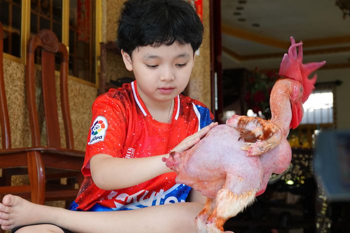 Chú gà trụi lông, thích ngồi mâm ở miền Tây: Cực thích ăn sầu riêng