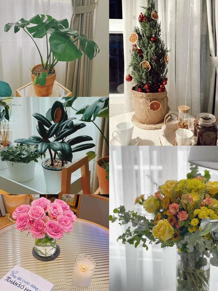 Cô gái lập nghiệp chỉ với 3,5 triệu đồng/tháng sau 8 năm đã mua nhà