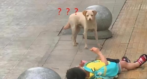 Con vòi vĩnh đòi mua đồ chơi, mẹ khoanh tay đứng đợi 1 giờ đồng hồ