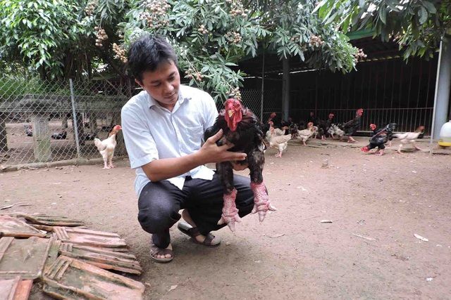 Chuyện không tưởng: Con dê 6 chân được gia chủ rao bán 500 triệu