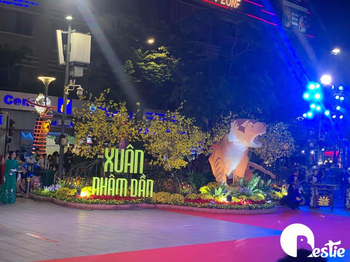 Mọi người nô nức xem đường hoa Nguyễn Huệ: Sài Gòn đang dần hồi sinh