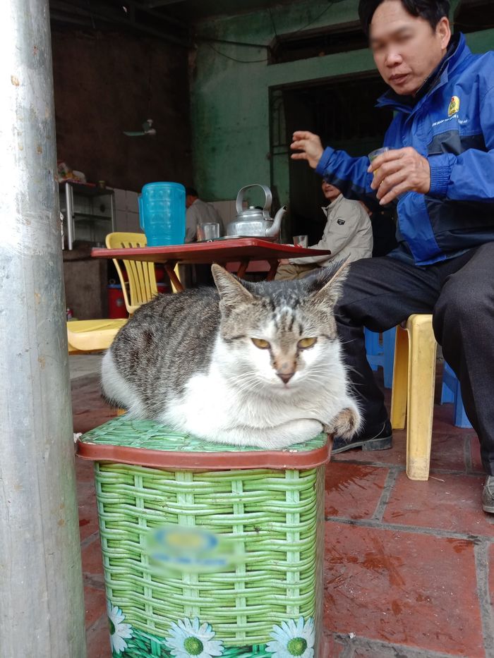 Đi mua hàng Tết gặp ngay quàng thượng ra sức chiều khách