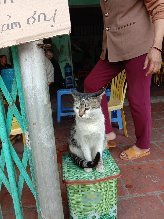 Đi mua hàng Tết gặp ngay quàng thượng ra sức chiều khách