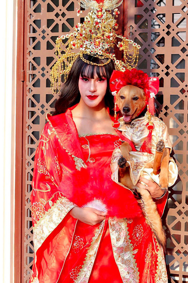 Nàng chó vô chủ đổi đời khi được chàng trai mang từ quán ăn về nuôi