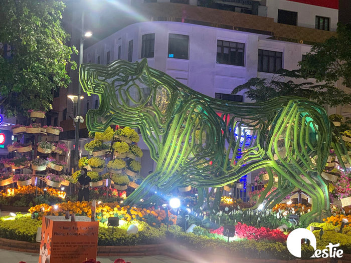 Mọi người nô nức xem đường hoa Nguyễn Huệ: Sài Gòn đang dần hồi sinh
