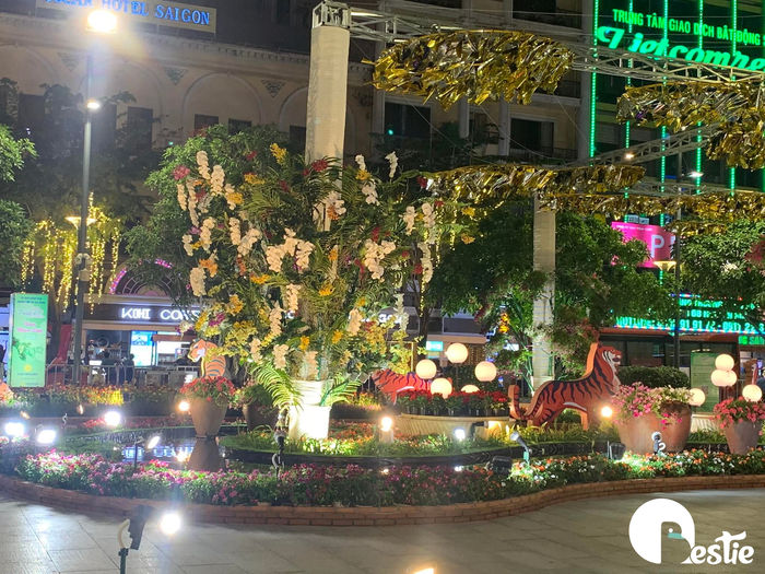Mọi người nô nức xem đường hoa Nguyễn Huệ: Sài Gòn đang dần hồi sinh