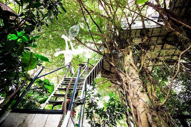 Những ngôi nhà mọc cheo leo trên cây, khá độc lạ ở Việt Nam 