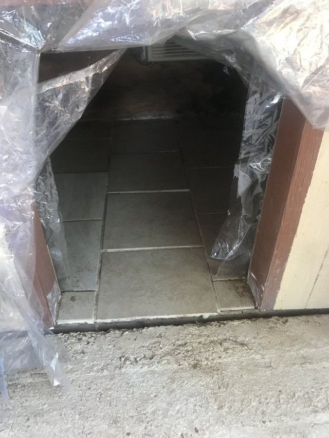 Chú chó số hưởng khi được chủ lắp máy điều hoà ngủ cho mát