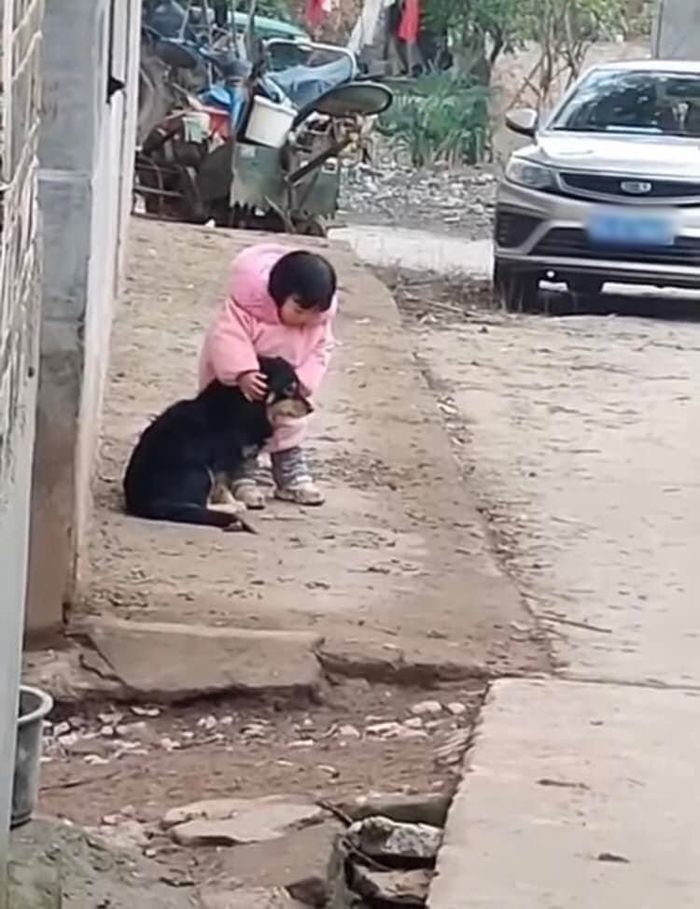 Bé gái đứng bảo vệ, bịt tai giúp bé cún không giật mình bởi tiếng pháo
