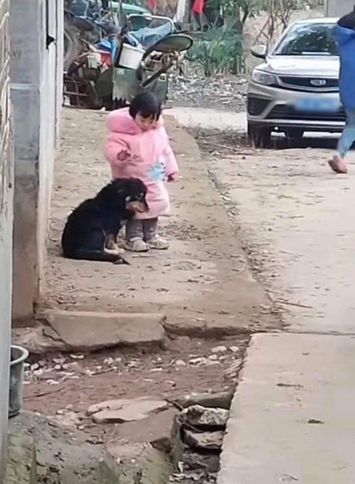 Bé gái đứng bảo vệ, bịt tai giúp bé cún không giật mình bởi tiếng pháo
