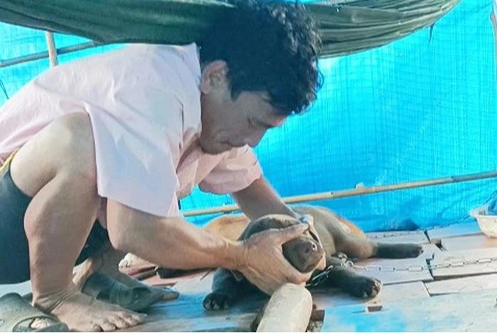 Vợ chồng người đàn ông từng bị tiêu hủy chó: Đã dùng hết 120 triệu