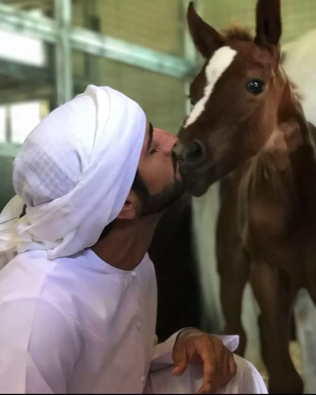 Cuộc sống hiện tại của thái tử đẹp trai nhất Dubai: 18 nghìn con ngựa