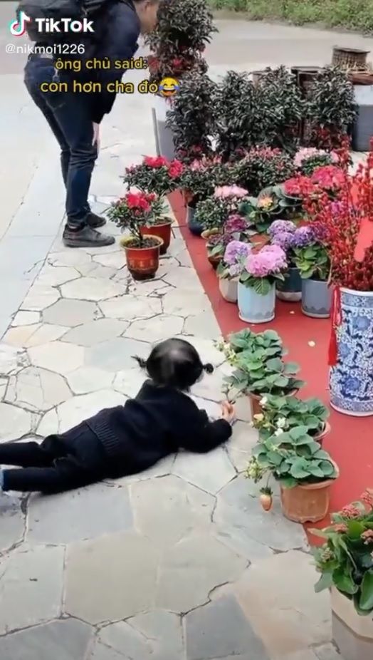 Đi mua hoa, cô bé lén ăn hết hai chậu dâu tây, khiến ông bố than trời
