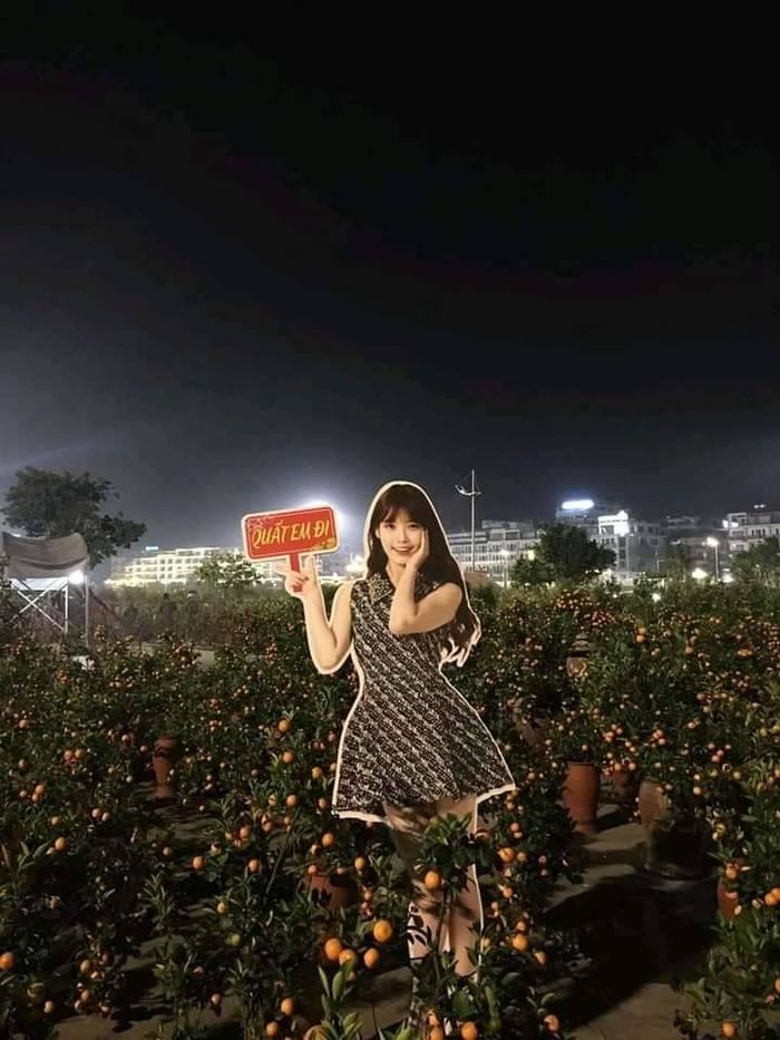 Khi idol Kpop bỗng dưng nghỉ hát sang khởi nghiệp tại Việt Nam