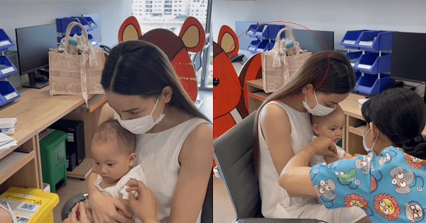 Ngỡ ngàng cách sao Việt xài hàng hiệu: Lệ Quyên lấy đắp cho mèo