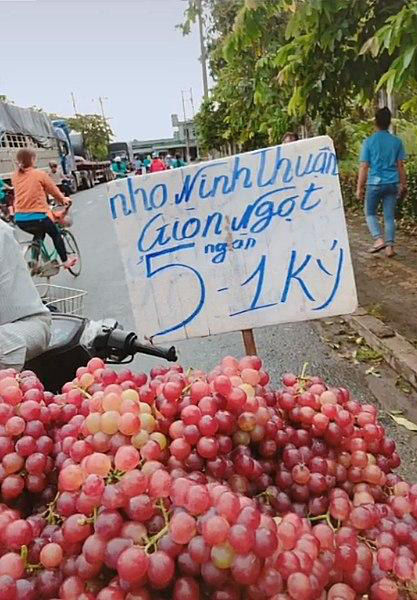 Những bảng giá test thị lực người mua: Chắc phải mang theo kính lúp