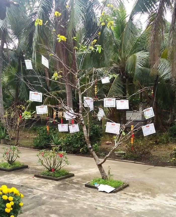 Những màn trang trí đào, mai độc đáo, hết giấy khen đến sổ đỏ đầy cành