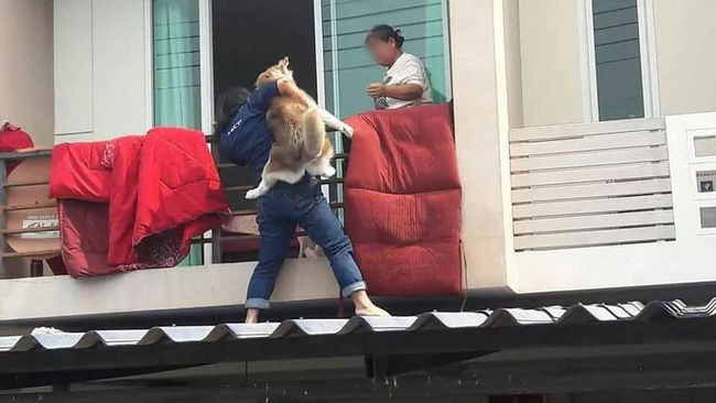 Chuyển nhà trọ cô gái ôm Husky ngồi trên thùng xe: Đi đâu cũng có nhau