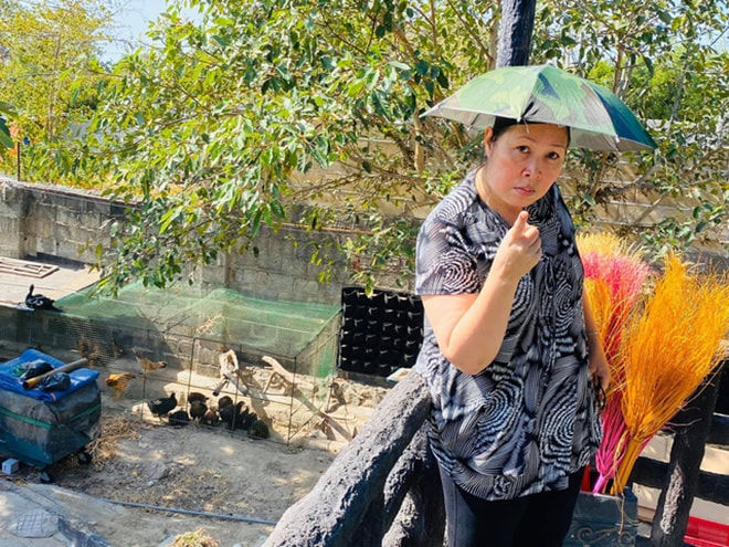Sao Việt mua nhà vườn dưỡng già: Hồng Vân xây cả biệt phủ
