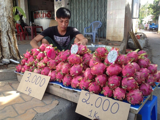 Ở VN rẻ như cho, sang nước ngoài chôm chôm hơn 700 nghìn/kg